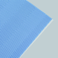 Sludge Dehydration Mesh Belt