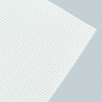 Polyester Forming Fabric 