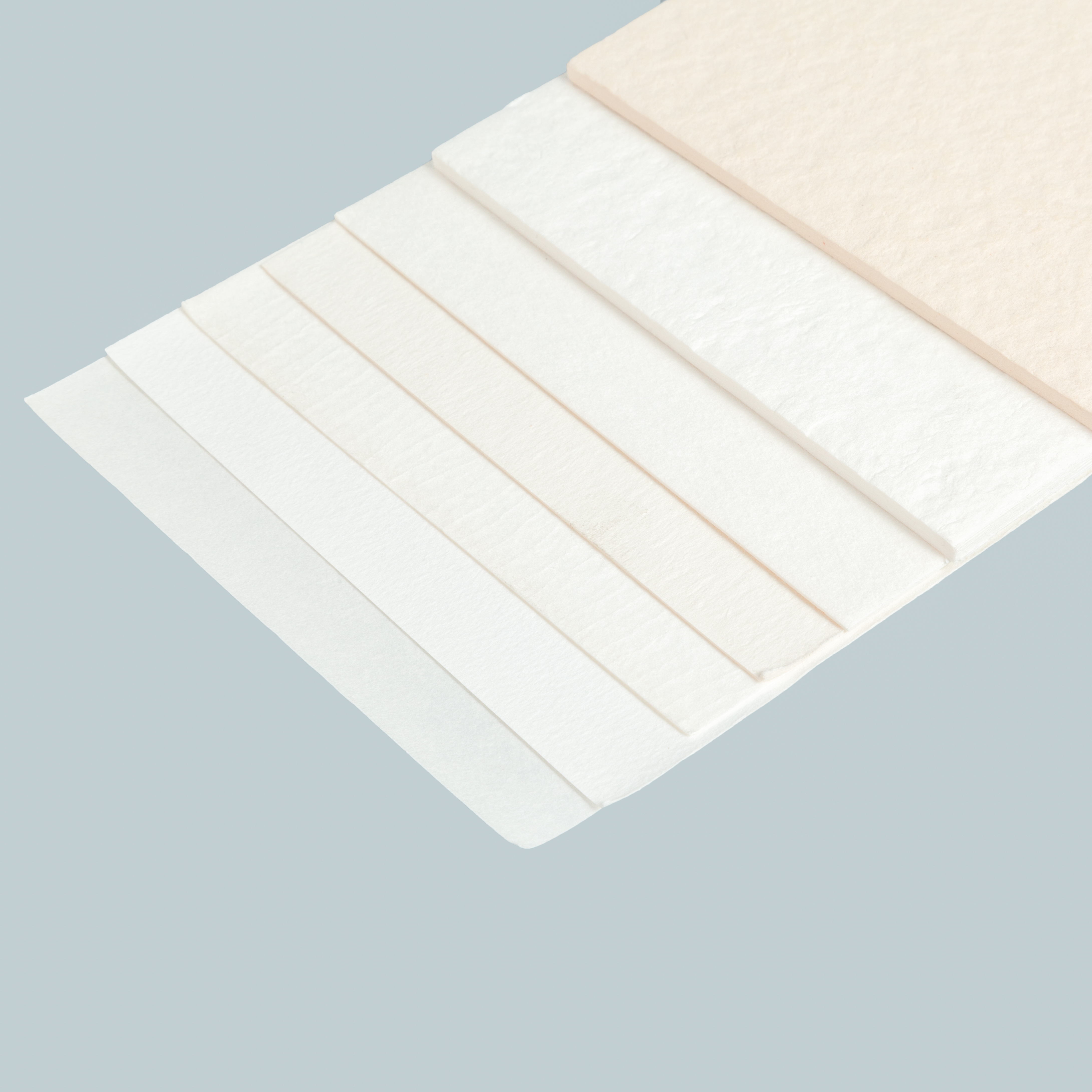 Filter Paper 主图